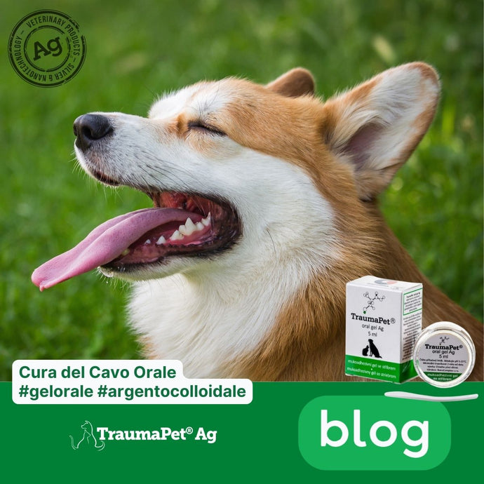 TraumaPet Oral Gel Ag: Cura del Cavo Orale per Cani e Gatti